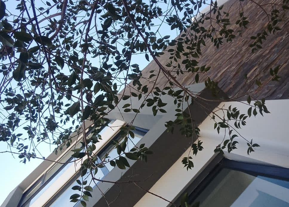 Galería de propiedades