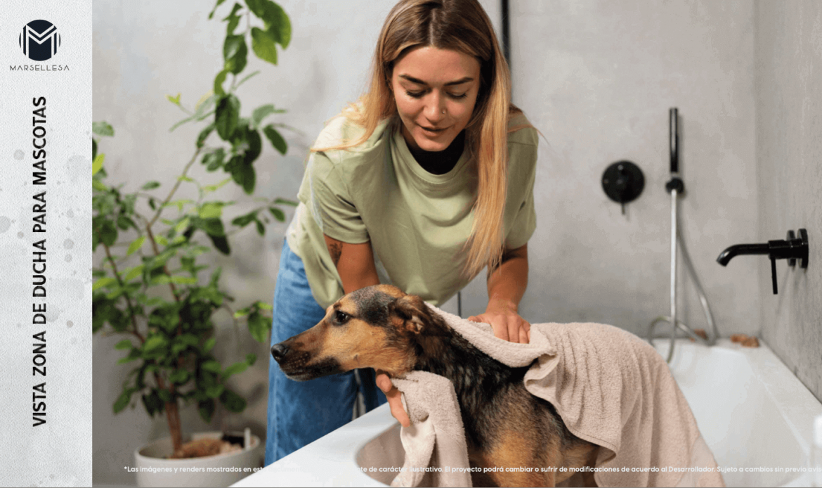 Galería de propiedades