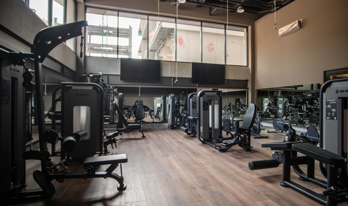 Galería de propiedades