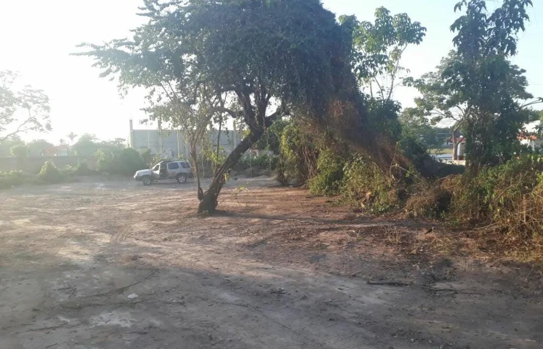 Galería de propiedades